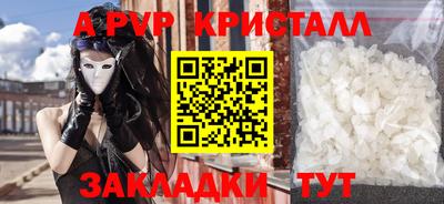 стафф Кандалакша
