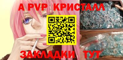 стафф Кандалакша