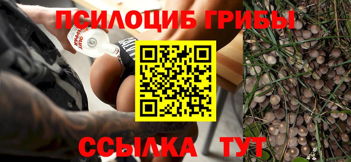 Галлюциногенные грибы Magic Shrooms  что такое наркотик  Кумертау  Вход с VPN 